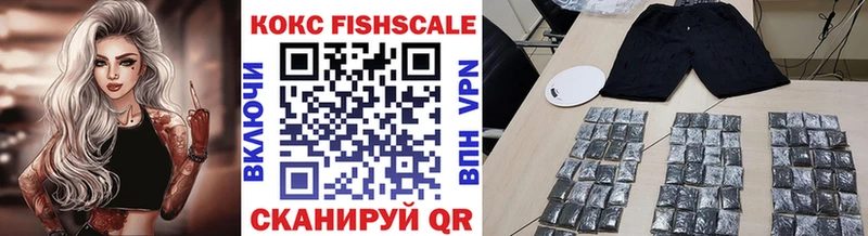 КОКАИН FishScale  продажа наркотиков  Хилок 