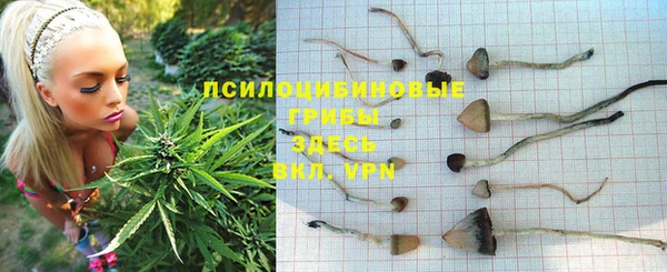 хмурый Лагань