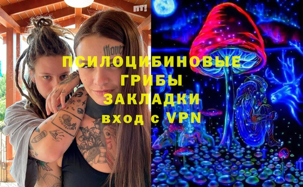хмурый Лагань