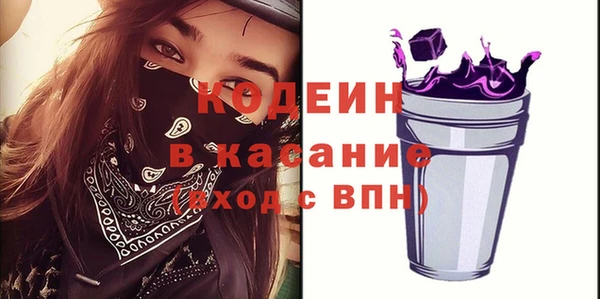 хмурый Лагань