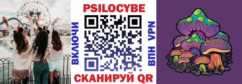 как найти закладки  Хилок  Псилоцибиновые грибы мухоморы 